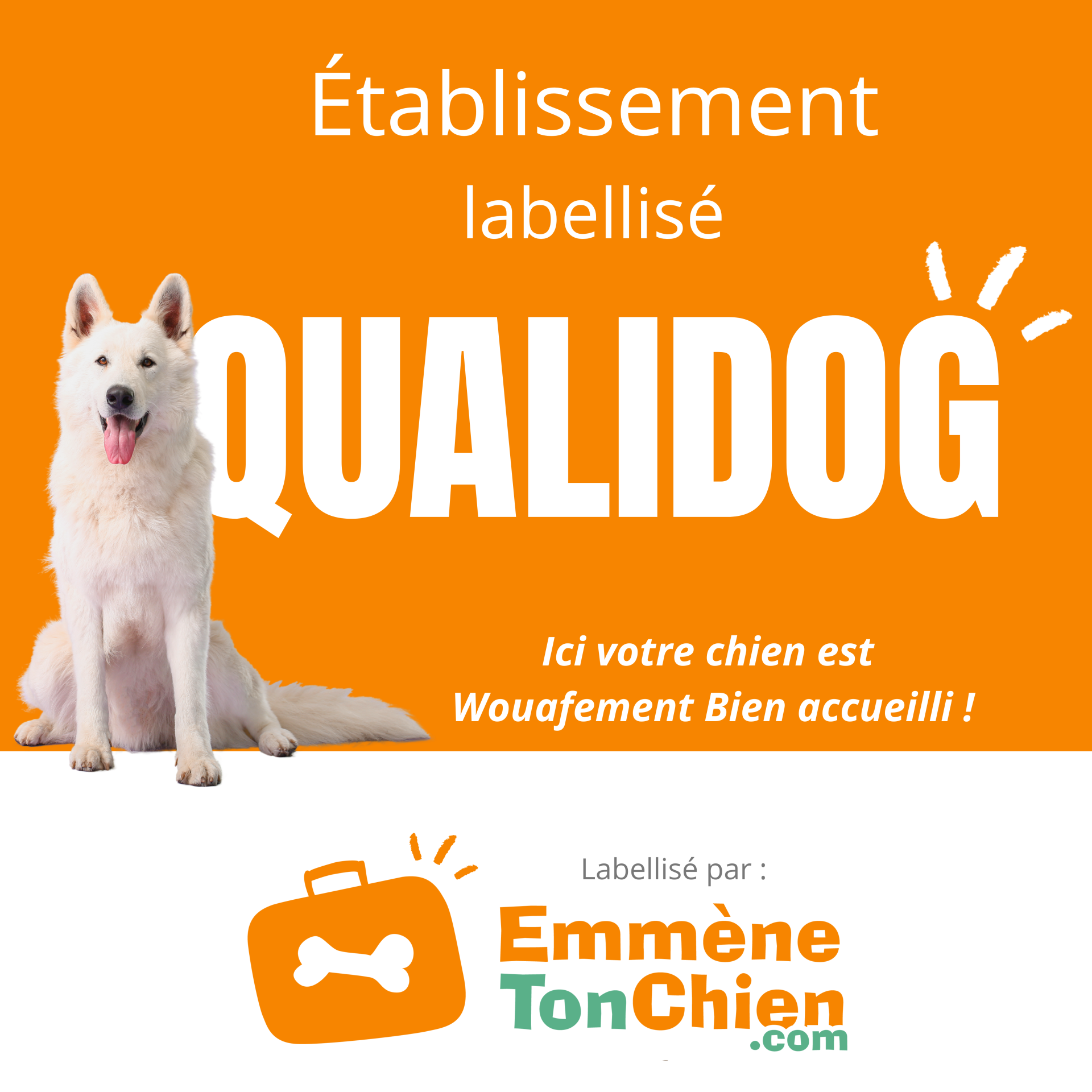 estapillé qualidog